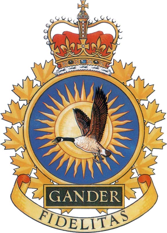 CFS GANDER Badge