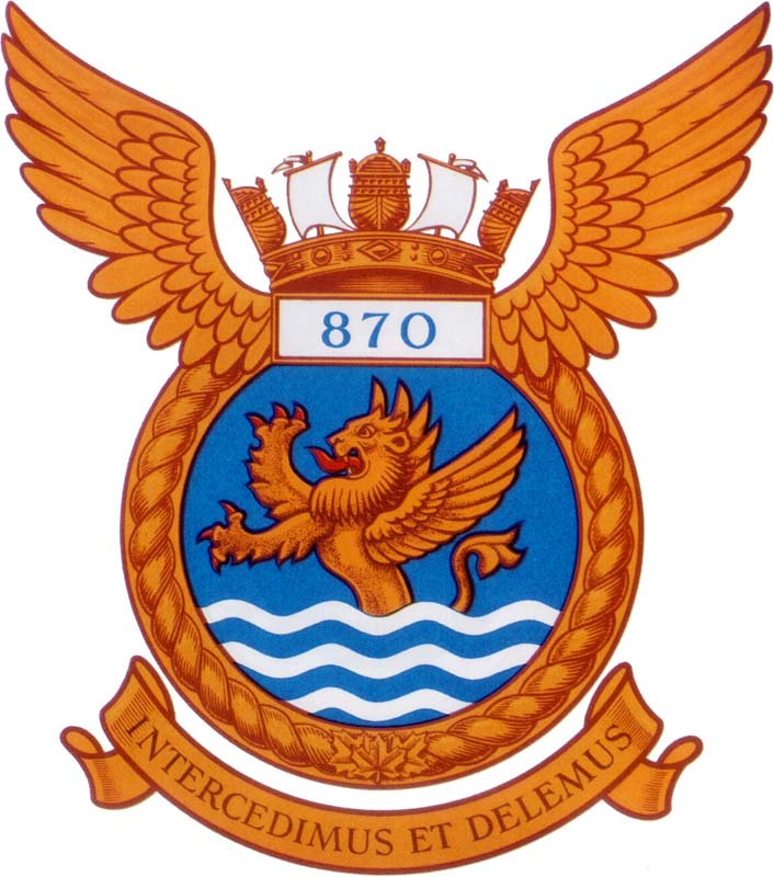 VF-870 Naval Air Squadron Badge
