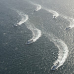 Orcas On Exercise